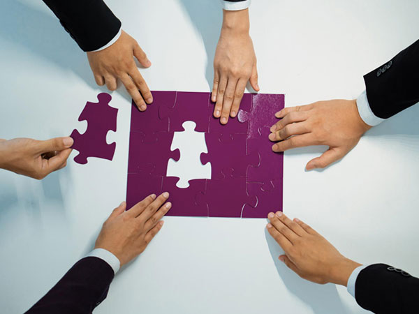 What Sets Our Team Apart